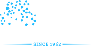 Willow Glen Family Dentistry